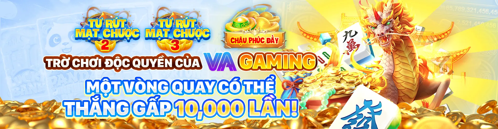 Hình ảnh đại diện cho Điều Khoản và Điều Kiện của 96vn code